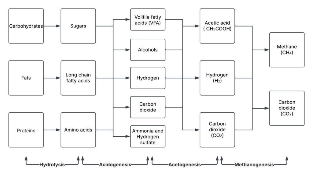 Hart Bioenergy - How Do Anaerobic Digesters Work - Diagram