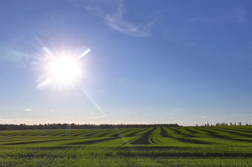 ATO - Research and Development Tax Incentive