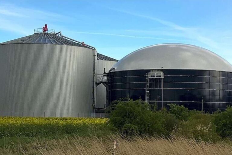 Understanding Biogas - Renewable energy from organic waste