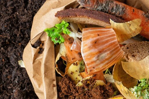 NSWs Commercial Food Waste Mandate and the Role for Biogas Digestors